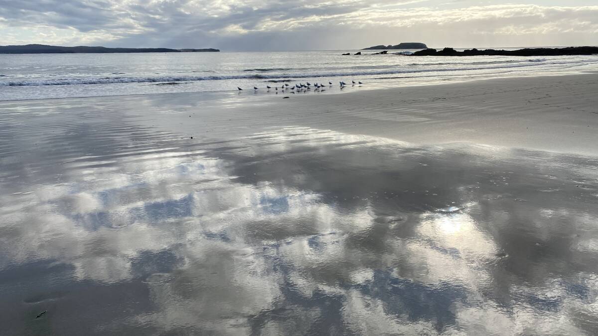 PIC OF THE WEEK: Reflective South Coast moment. Email your photos to editorial@ulladullatimes.com.au