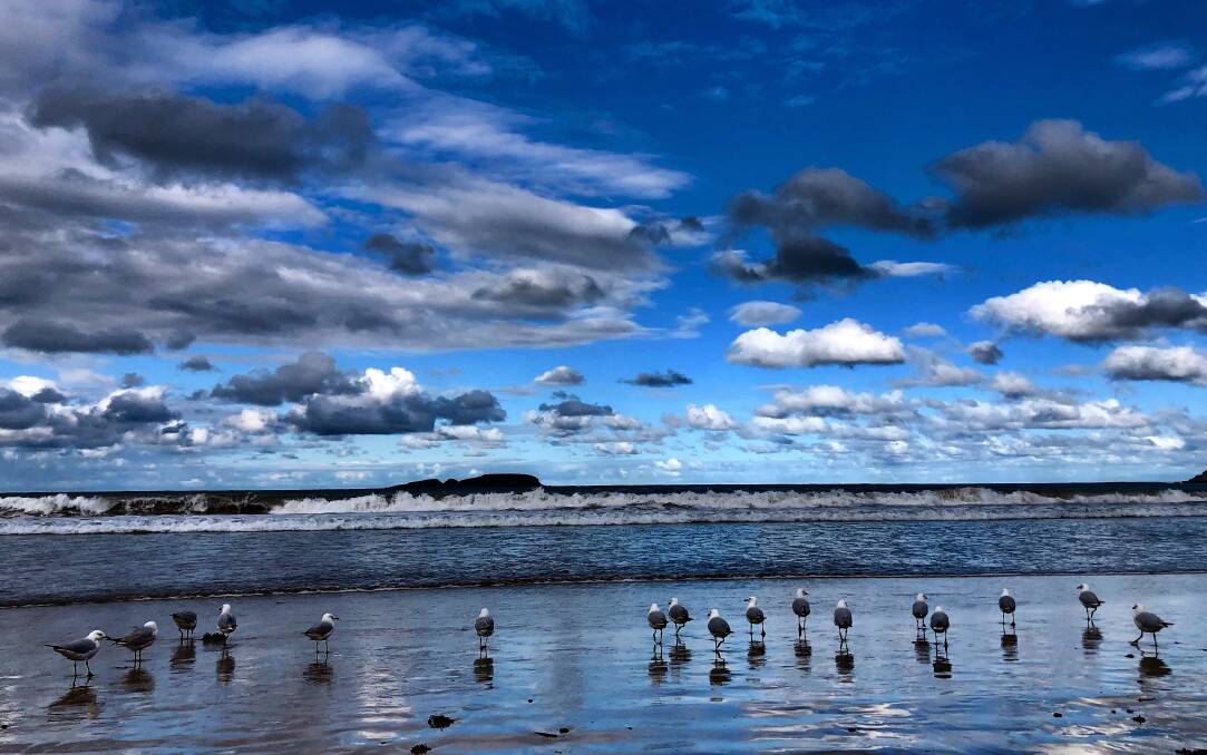 PIC OF THE WEEK: Gulls gather under clearing skies. Send your photos to editorial@ulladullatimes.com.au