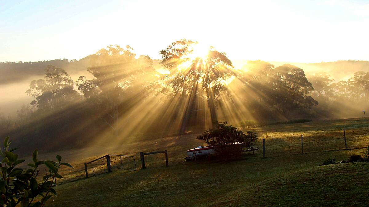 PIC OF THE WEEK: Misty morning light by Davo Allaway. Send your photos to editorial@ulladullatimes.com.au