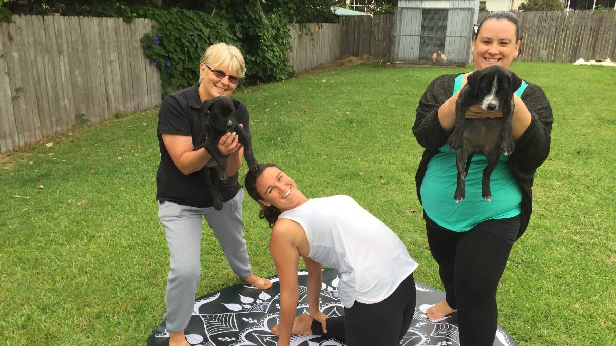 South Coast Animal Rescue's Lynne Thurston, Chantal Pierce and Barbara Whaley are excited to stage the fun event in Ulladulla.