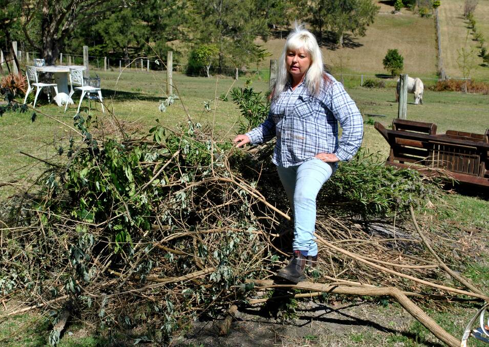 Denise Joy is concerned people aren't clearing their properties of excess green waste because of the charges they will inccur when taking it to the tip. 