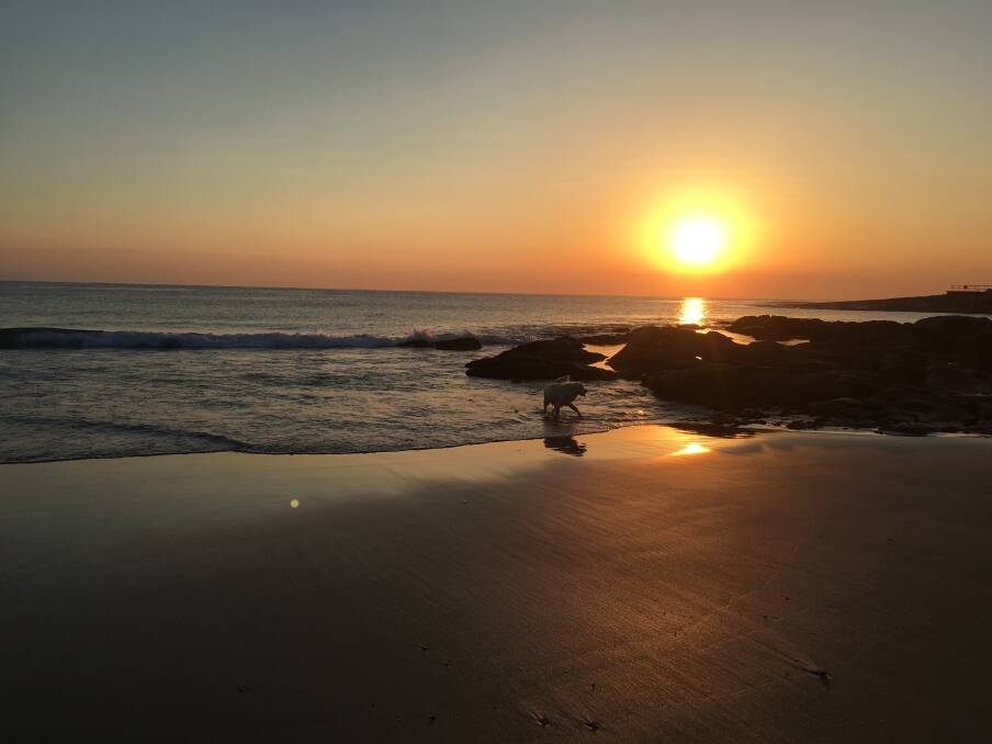PIC OF THE WEEK: Liza Butler snapped this glorious sunrise at Bawley Point Beach. 