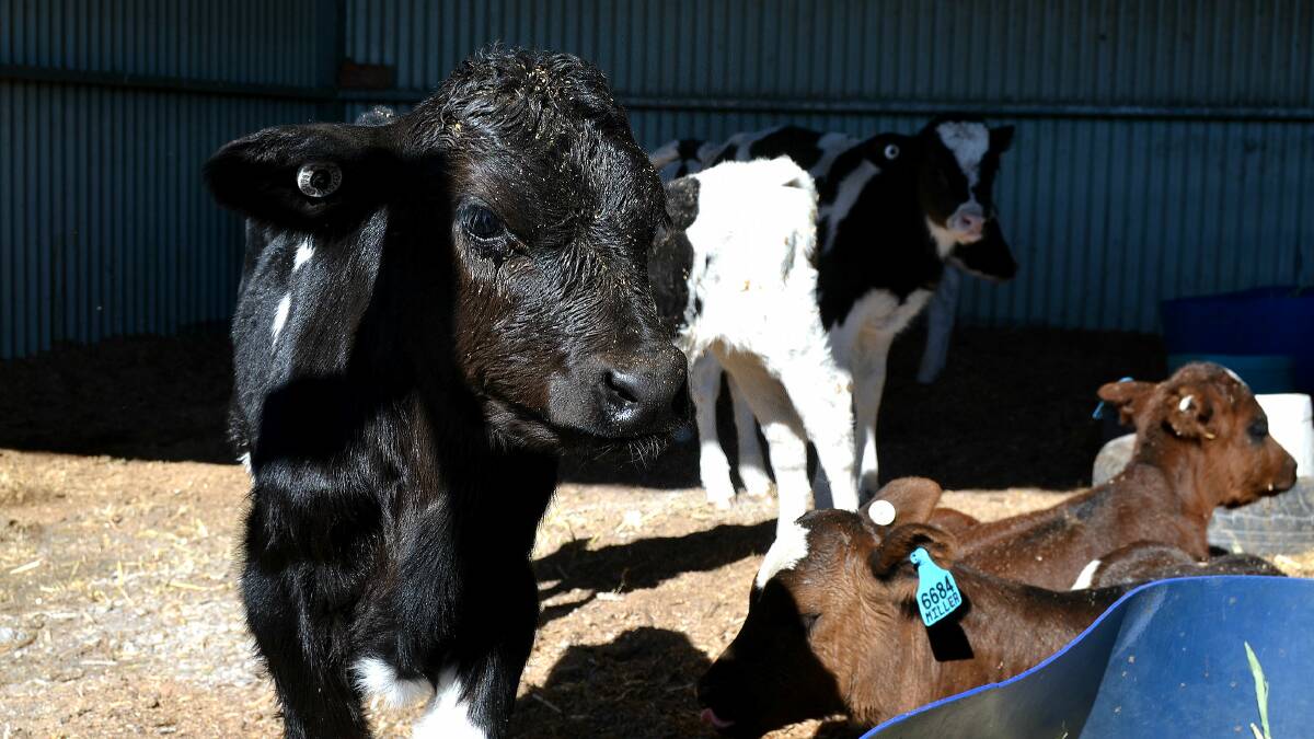 Gilmore MP backs farmers for milk price rise