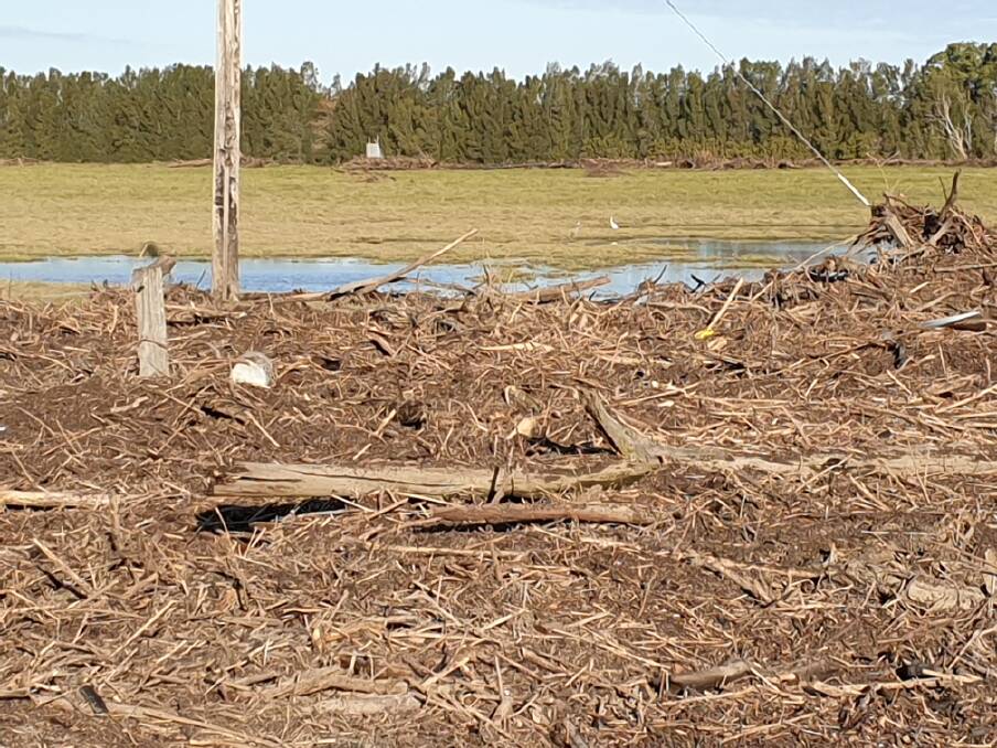 Some of the massive amount of debris left on Pig Island after this week's flood.
