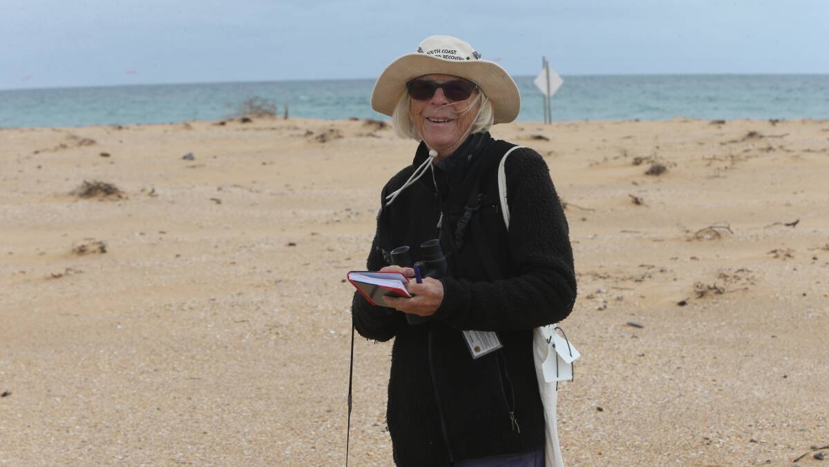 INSPIRATION: South Coast Shorebird Recovery volunteer Frances Bray has been monitorig the Little Terns since 2002.