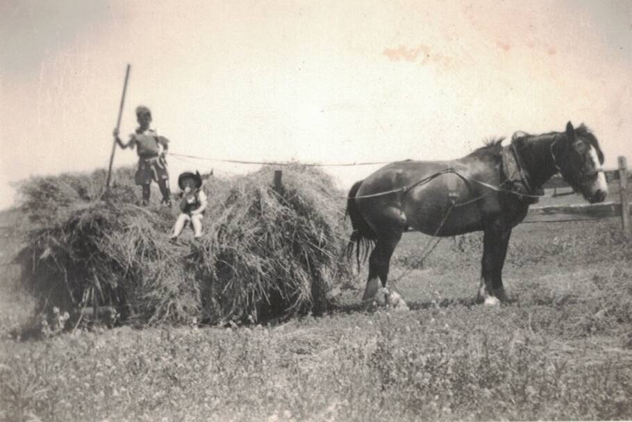 BRINGING IN THE HAY: Merv and his younger brother Terrence (Terry) bringing in the hay at Berellan.
