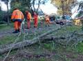 CLEAN UP: Around 30 Nowra SES volunteers have been out cleaning up fallen trees and other damage across the northern Shoalhaven. Image: Nowra SES Unit
