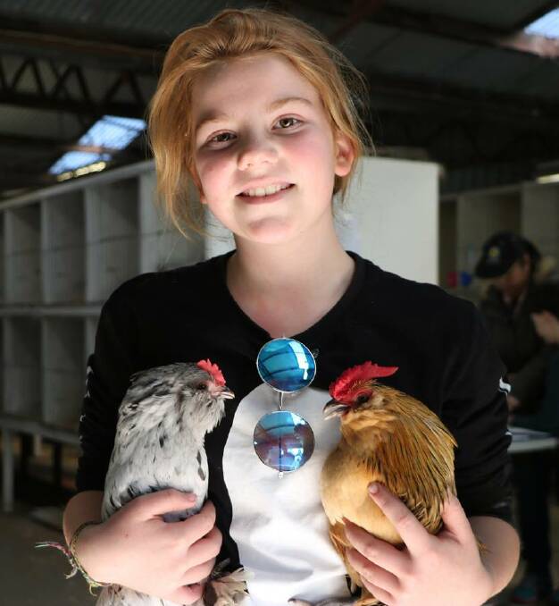 A wide variety of poultry will be up for sale at the Nowra Poultry Club's fourth annual auction on Sunday, April 7. Image: Nowra Poultry Club