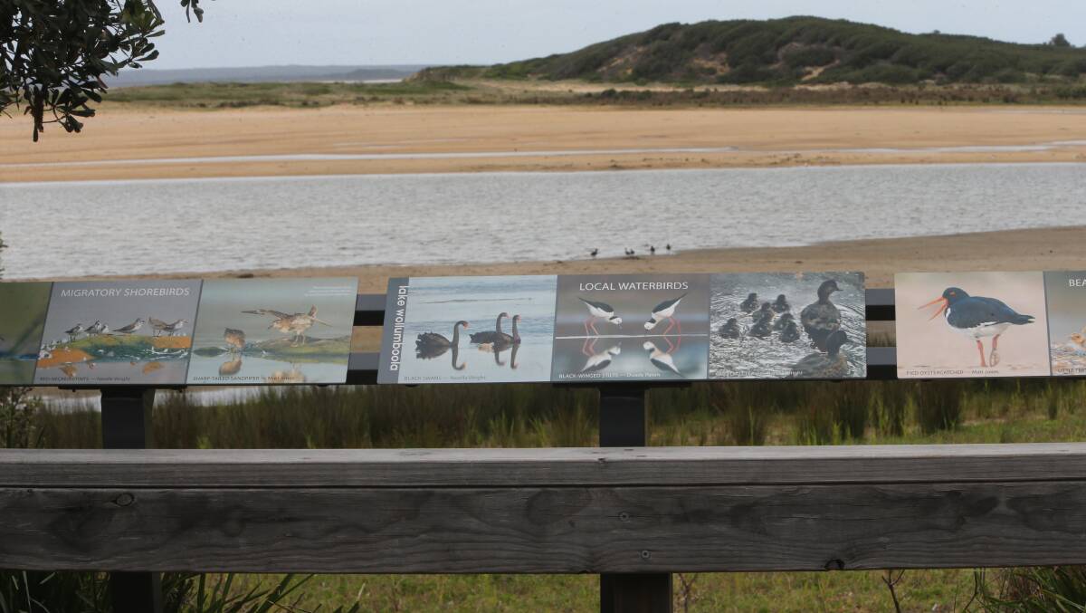 SUPERB: New interpretive signage, featuring photos of nine of the varieties of birds in the lake, photographed by locals, has recently been installed at the bird viewing platform at the northern edge of the lake off East Crescent.
