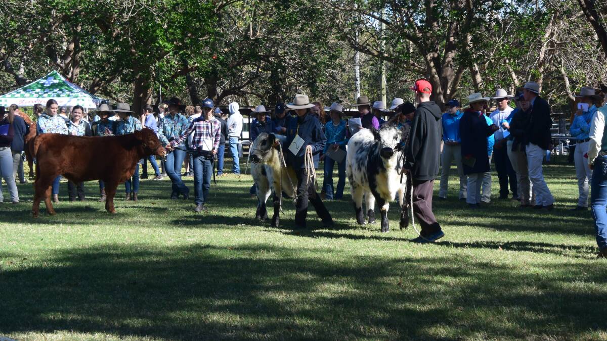 POPULAR: The 2021 South Coast Beef School Spectacular is scheduled to be held at the Nowra Showground on May 3-5, with carcasses judging on Friday, May 7.
