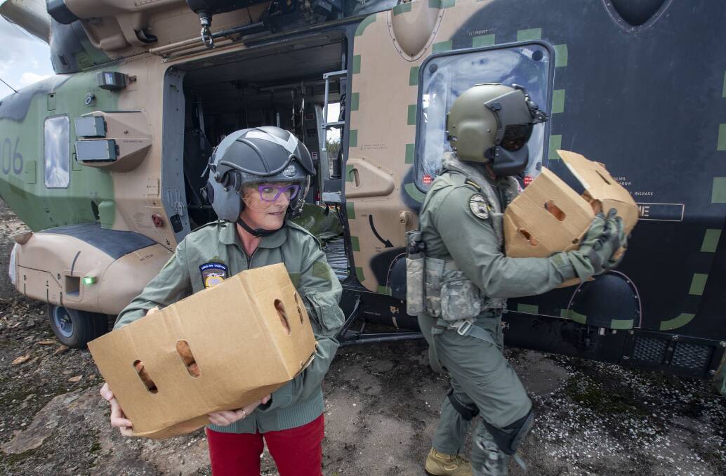 Shoalhaven Mayor, Councillor Amanda Findley and Leading Seaman Aircrewman Bradley Thomas carrying boxes of sweet potatoes to feed the wildlife in a burnt out area of Moreton National Park. Photo: Cameron Martin