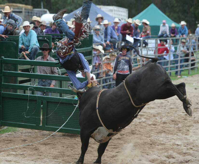Some of the spectacular action spectators can expect at the annual Nowra Rodeo at the Worrigee Equestrian Common on December 29. Photo: Robert Crawford
