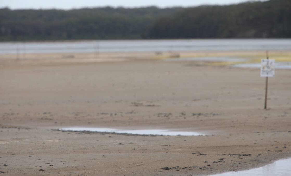 NESTING SITE: The Little Terns have nested at a least four sites in 2020 at Lake Wollumboola at Culburra Beach including on two large sandflats created after the lake's openong and closure earlier this yera.