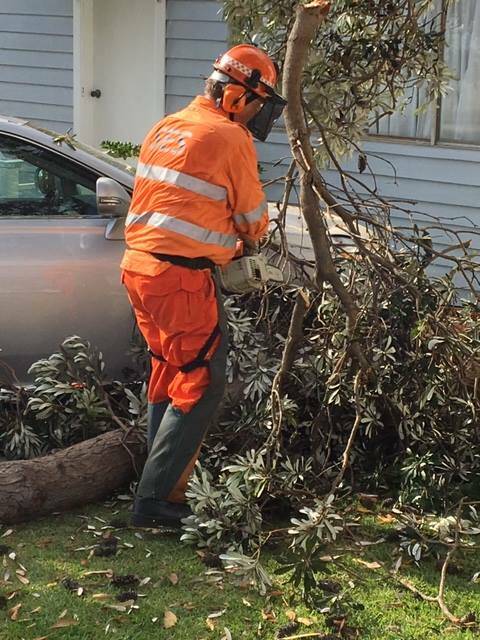 Ulladulla SES cleaning up after damaging winds.