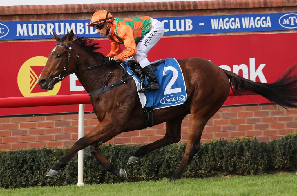 The Graeme Murray-trained Miss Scorcher will run at Rosehill on Saturday. 
