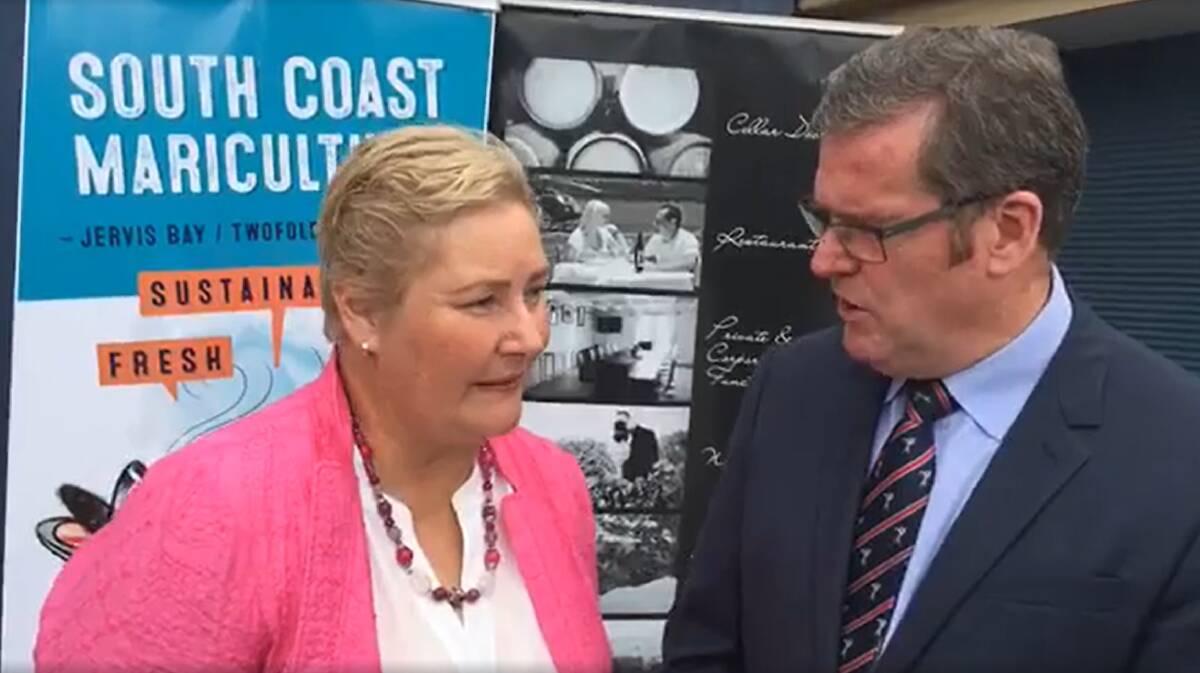 Former Gilmore MP Ann Sudmalis and former Minister for Regional Development, Territories and Local Government John McVeigh speak to the South Coast Register at the February 2018 announcement in Nowra.