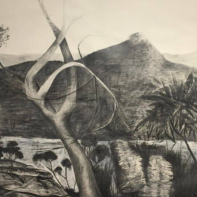 Didthul charcoal by Meagan Jacobs. Picture: supplied/Escape ARTfest.