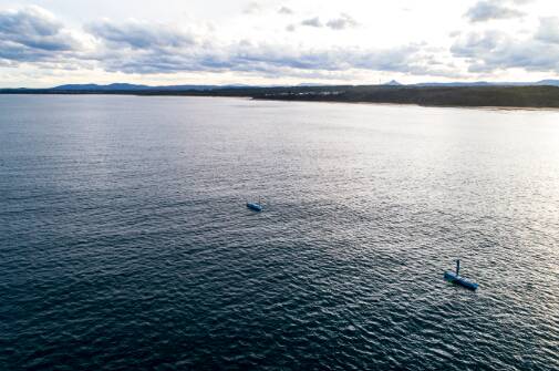 The bluebottles sail along the Ulladulla coastline. Picture: Ocius Technology.