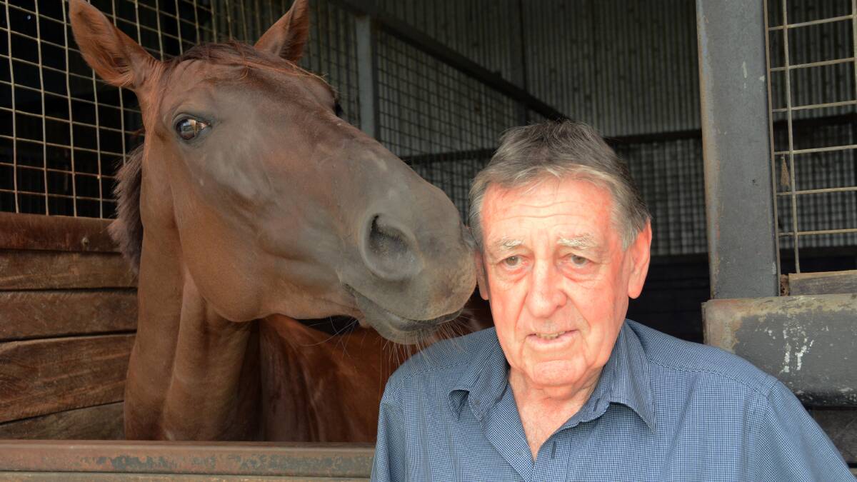 BEDE MURRAY: "He was a legend and a champion bloke and most of all he was my dad" said son Paul. Mr Murray is pictured at his Conjola stables in 2015. Photo: RON AGGS