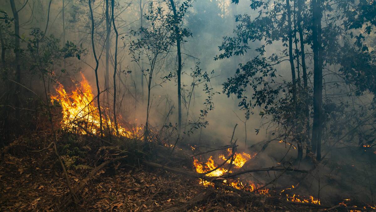 South Coast firefighters battling the Currowan bushfire prepare for ...