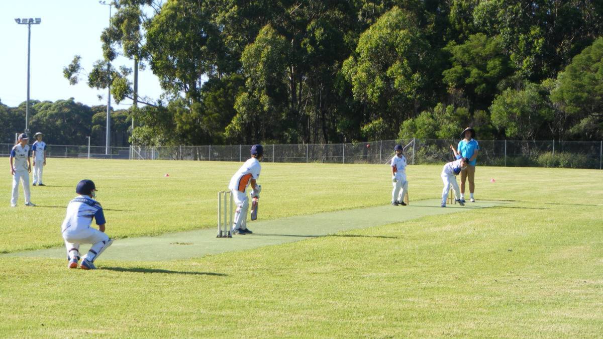 Back in action: The Shoalhaven District Cricket Association junior cricket season will restart this weekend across all grades. 