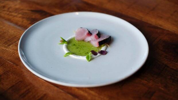 Bonito and fermented cucumber with a ring of feta at LuMi Bar & Dining. Photo: supplied.