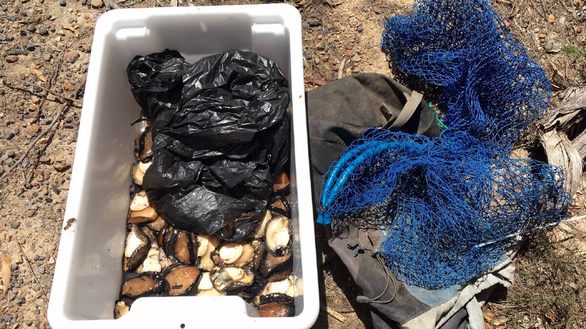 SEIZED: Police have charged two men with offences relating to abalone after a seizure on the Far South Coast on Sunday. 