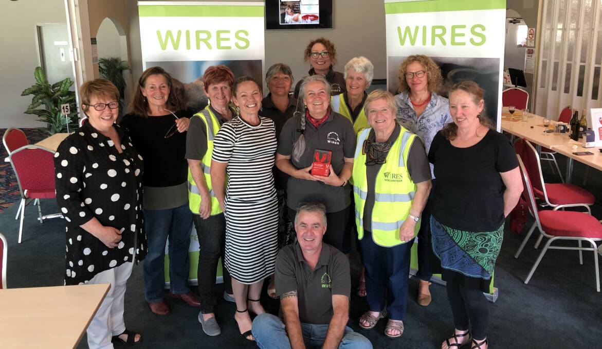 WIRES Mid-South Coast wins the NSW Volunteer Team of the Year Award on Thursday, December 3. Image: Tony de la Fosse