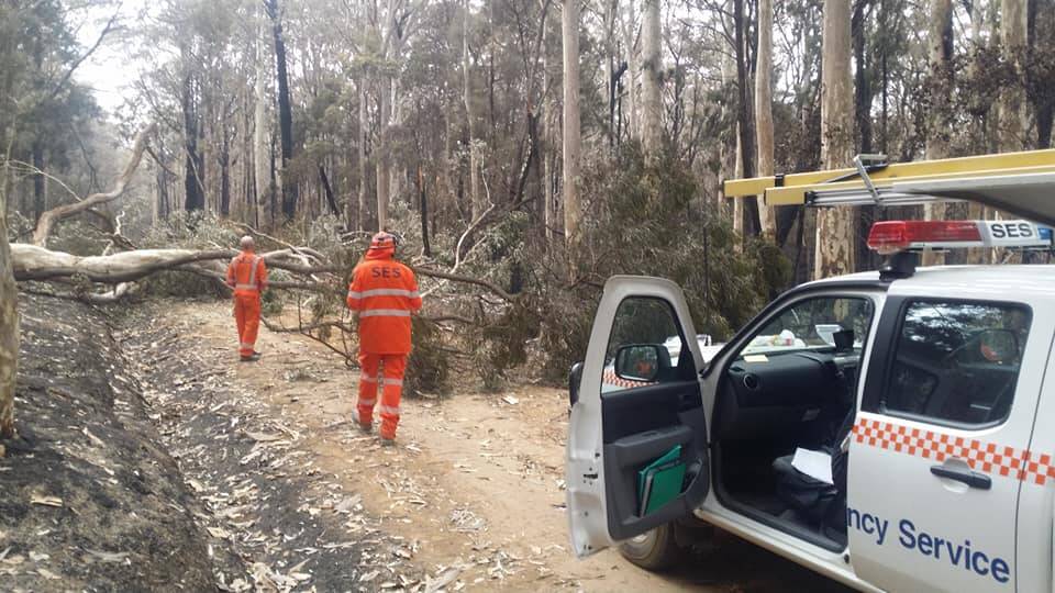 Moruya SES volunteers use chainsaws to remove trees burnt by the Currowan fire near Bawley Point. Picture: Moruya SES