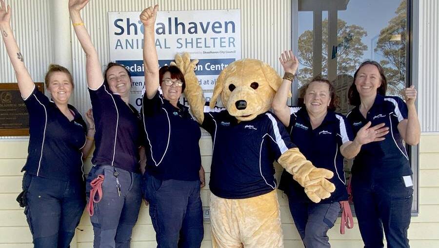 Outstanding: Shoalhaven Council's Animal Shelter was named Outstanding Council Animal Shelter at the Jetpets Companion Animal Rescue Awards.