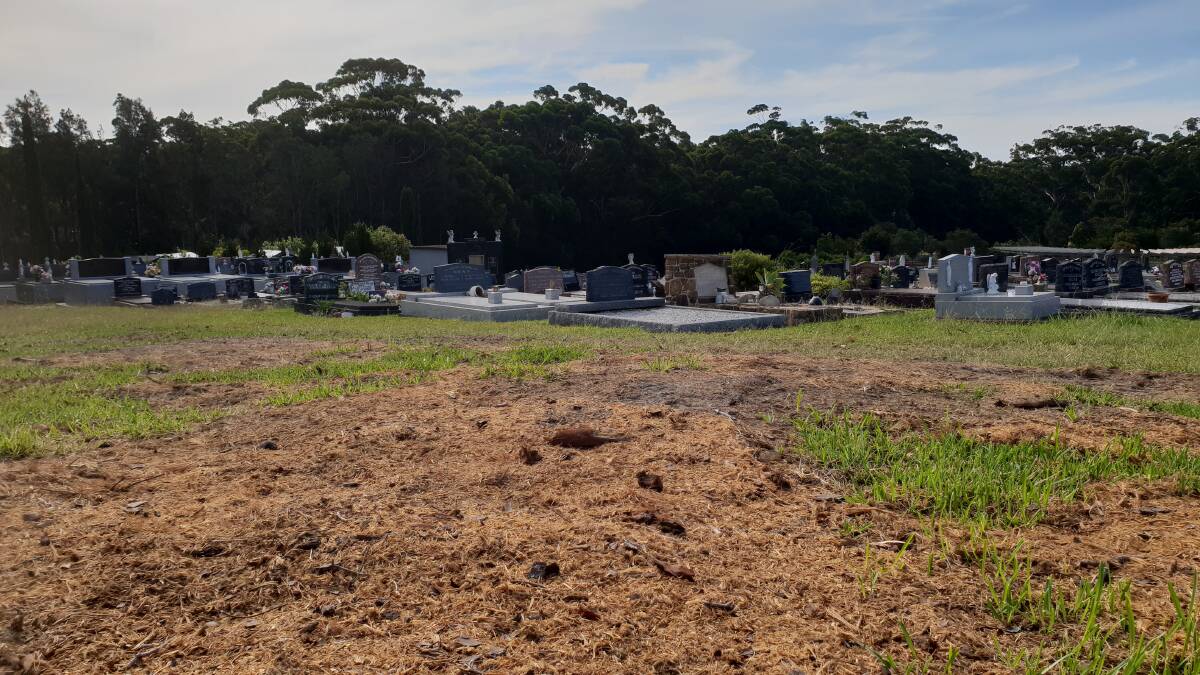 The trees were removed after concerns were raised over cracking in graves. 