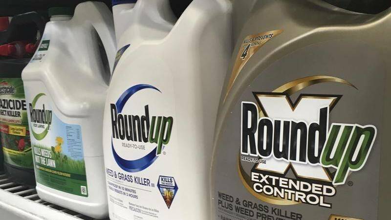 Council committed to RoundUp, says 'no evidence' of harm