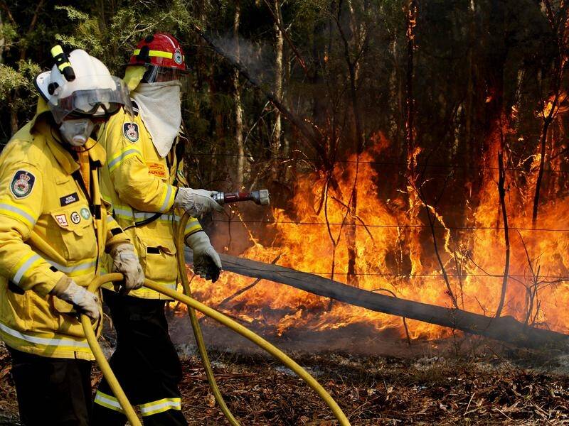 Total fire bans are in place across NSW amid strong winds and hot conditions.