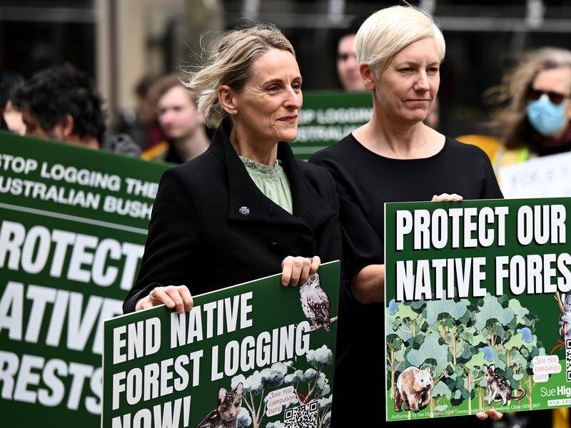 NSW Greens MP Sue Higginson (left) says protesters face much harsher penalties than in the past. (Dan Himbrechts/AAP PHOTOS)