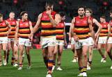 Adelaide were hard done by in their three-point loss to Essendon, the AFL has acknowledged. (Joel Carrett/AAP PHOTOS)