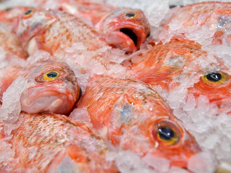 Australia has made limited progress in restoring fish stocks to sustainable levels, a report says.