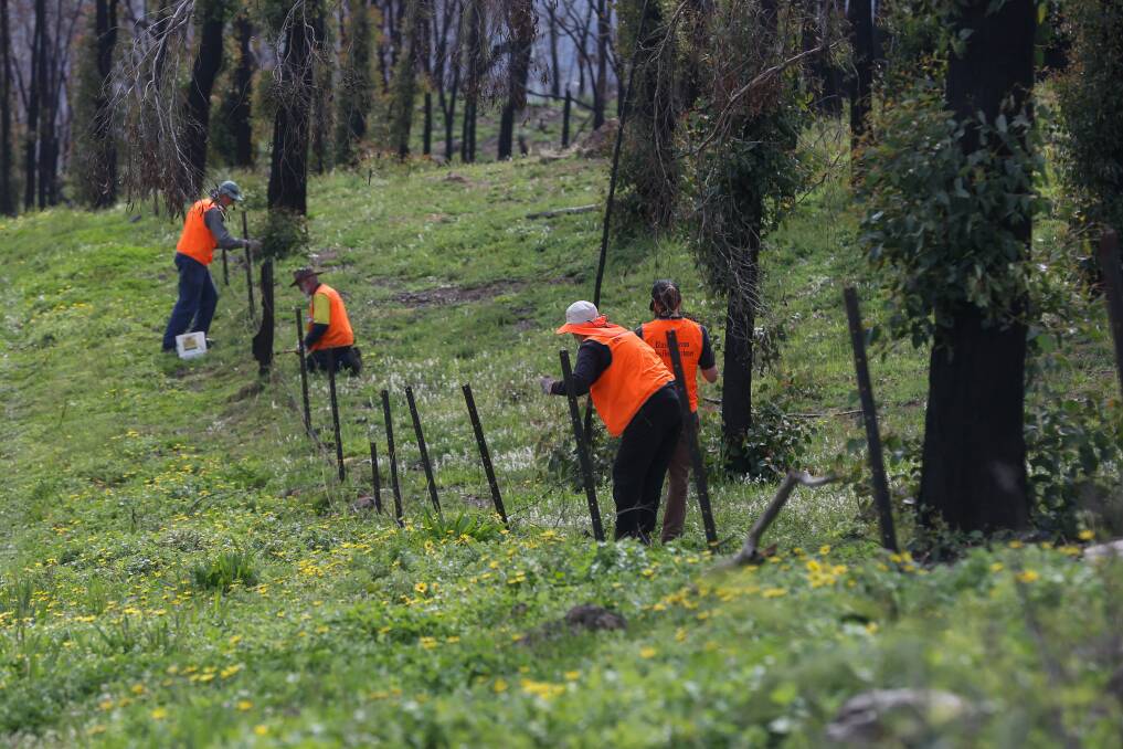 JOIIN IN: BlazeAid volunteer erect fencing at Valley View. Workers range from international couples to retirees of differing skill levels. Picture: TARA TREWHELLA