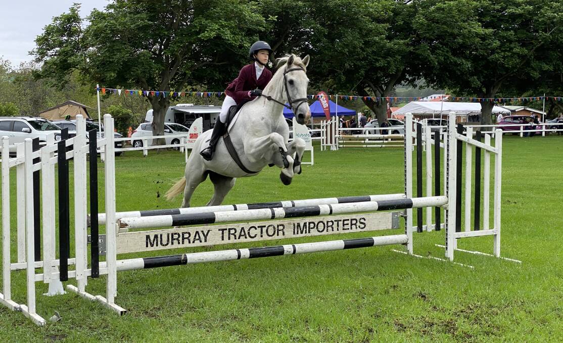 High hopes: Showjumpers were in full action this morning at the Milton Show. 