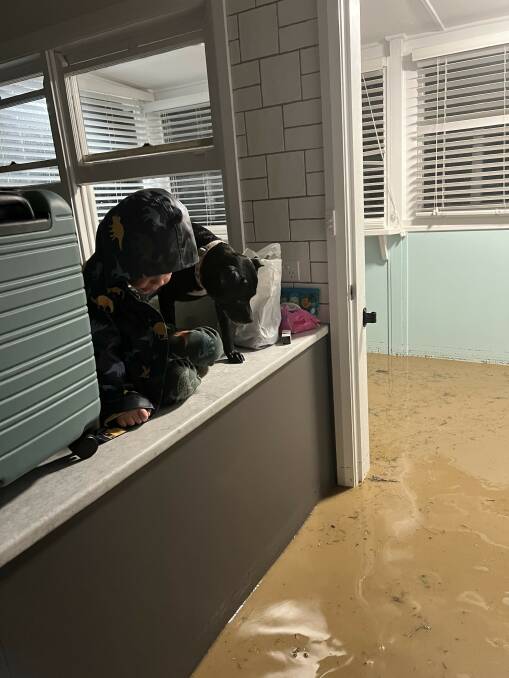 Theodore Beavis, 3, and Frankie the dog on the kitchen bench of their Arrow Avenue, Figtree home as floodwaters swirled around them. Picture by Kealsie Beavis