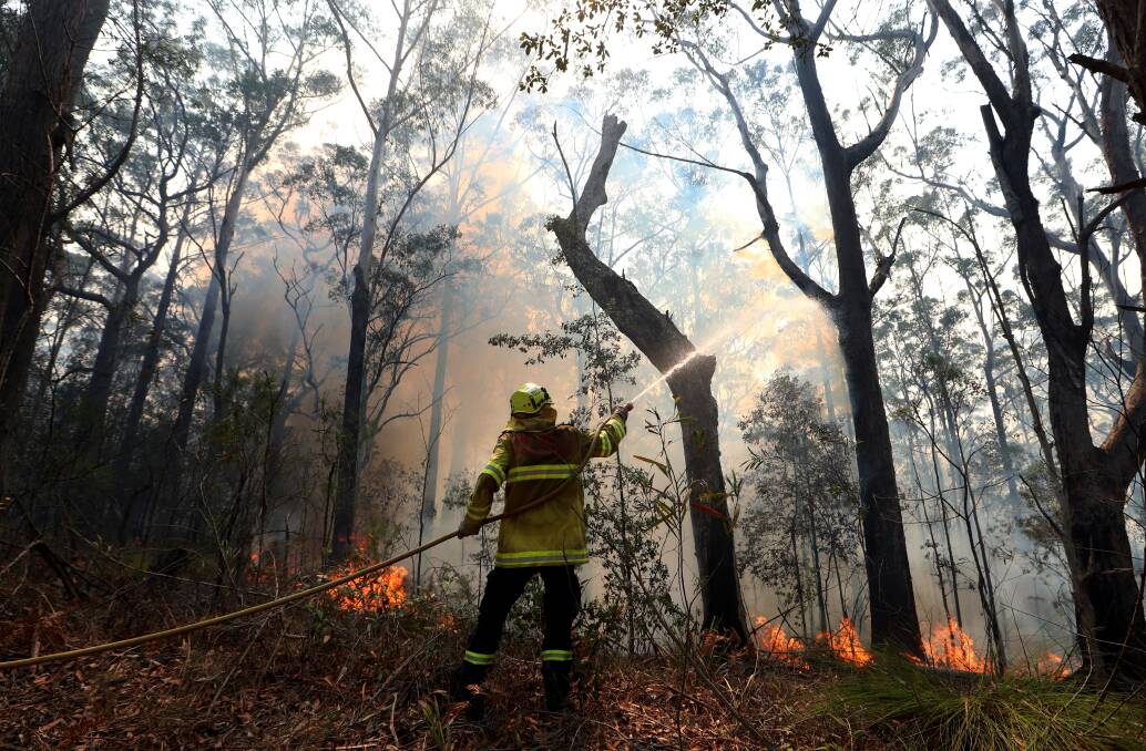 Currowan Bushfire was not a normal blaze, an inquiry into the 2019-20 Black Summer bushfires was told on Monday.Picture: Sylvia Liber