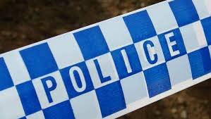 Man dies after being hit by tree in Mollymook