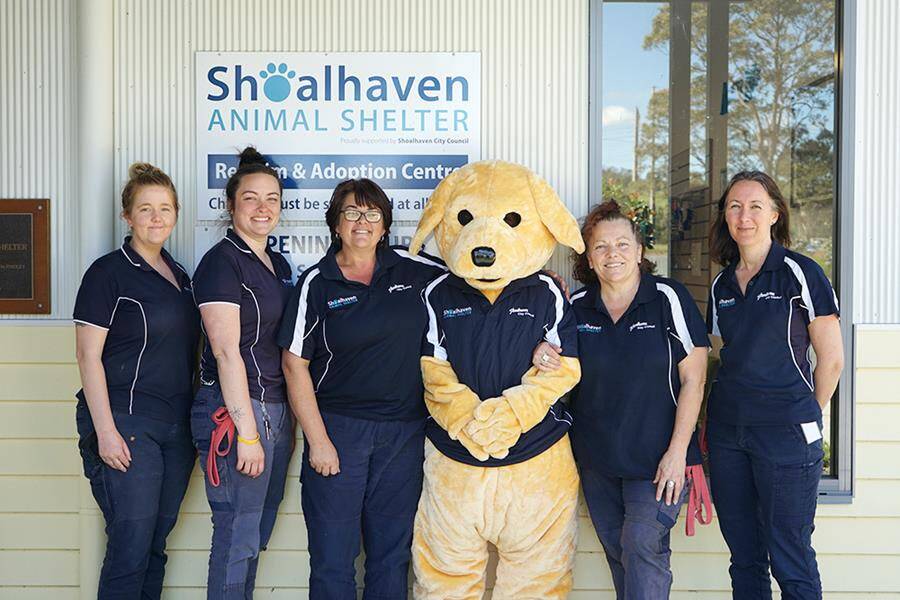 Council staff at Shoalhaven Animal Shelter 