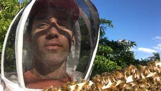 Feel the buzz as Ulladulla's bee man swarms into action