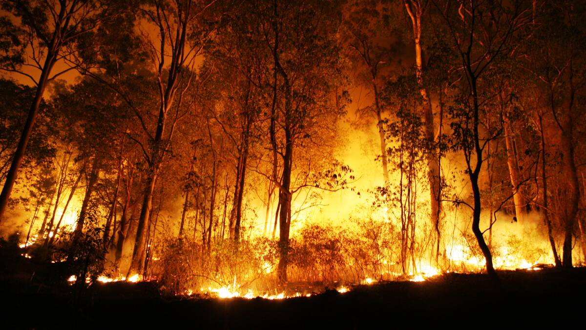 Free tour to explain impacts of fire on Shoalhaven marine environments