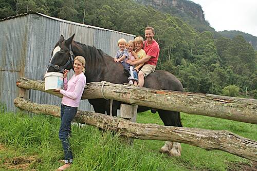 HORSING ABOUT: Archie being spoilt on his birthday by Lauren Still while husband Scott and children Cooper, Lilly and Bailey enjoy sitting on top of the world.
