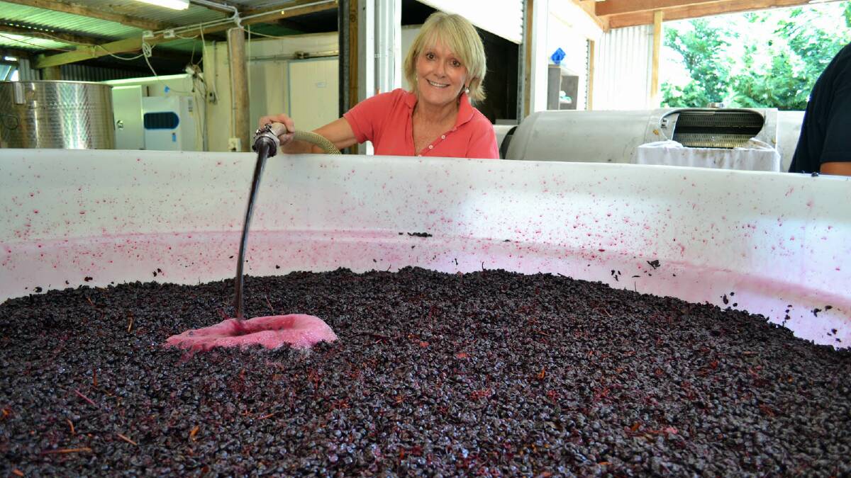 WINE TIME: Rosie Cupitt with the fermented Cabernet Sauvignon grapes soon to be bottled.
